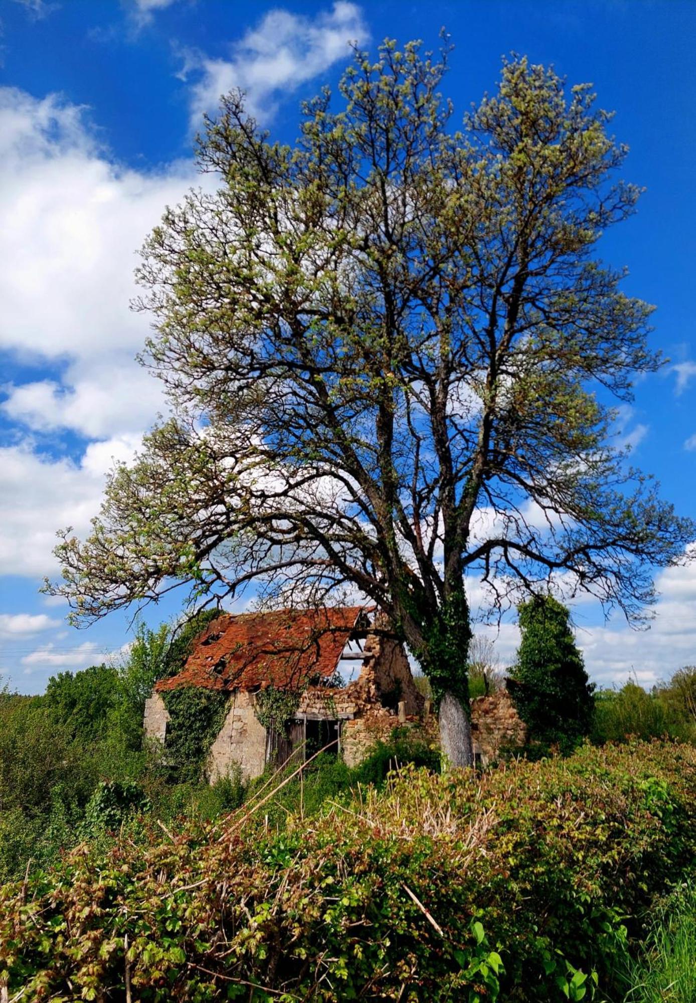 Maison Du Grand Moulin Saint-Aubin-en-Charollais Ngoại thất bức ảnh